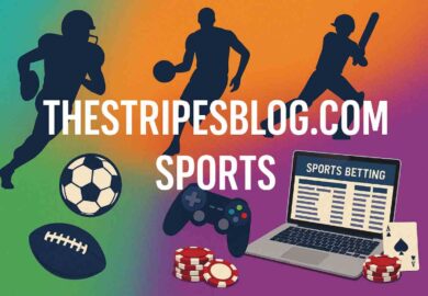 Www Thestripesblog.Com A Group Writers and Enthusiasts