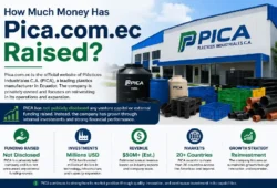 How Much Money Has Pica.com.ec Raised? Funding, Investments, Revenue, and Company Growth