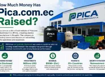 How Much Money Has Pica.com.ec Raised? Funding, Investments, Revenue, and Company Growth