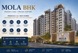 MOLA BKN: Complete Guide to Indonesia’s Civil Service Monitoring System