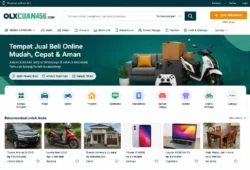 OLXCuan456.com Explained: Website Status, Safety, and User Guide